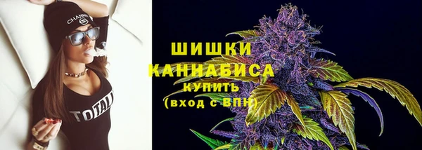 шишки Наволоки