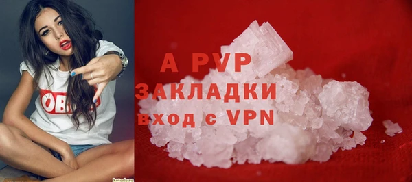 гидра Михайловка