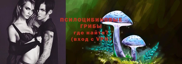 гидропоника Надым