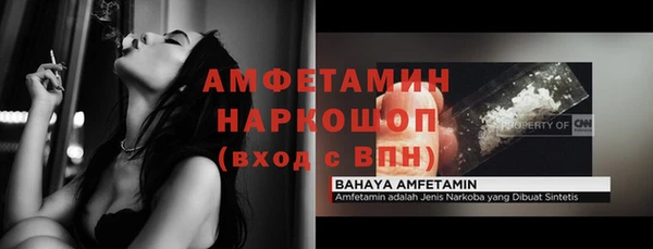 гидра Михайловка