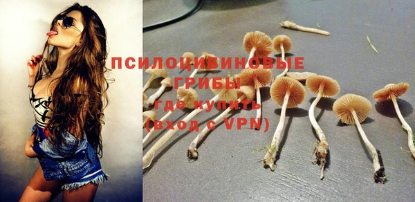 гидра Михайловка
