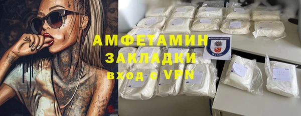 гидра Михайловка