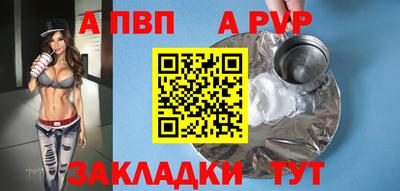 стафф Кингисепп