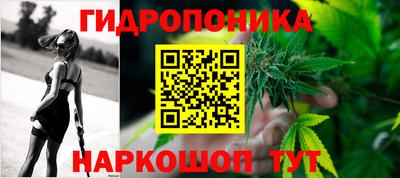 стафф Кингисепп