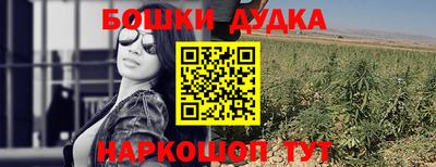 стафф Кингисепп