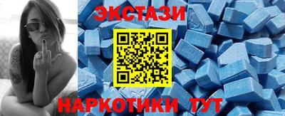 стафф Кингисепп