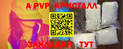 стафф Кингисепп