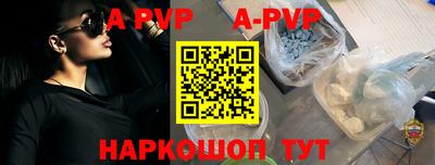 стафф Кингисепп