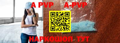стафф Кингисепп