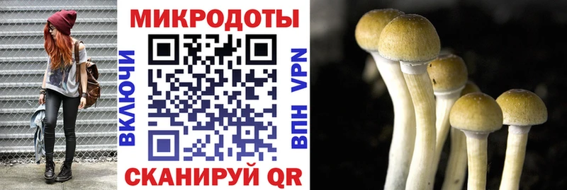 купить   Черняховск  Псилоцибиновые грибы мухоморы 