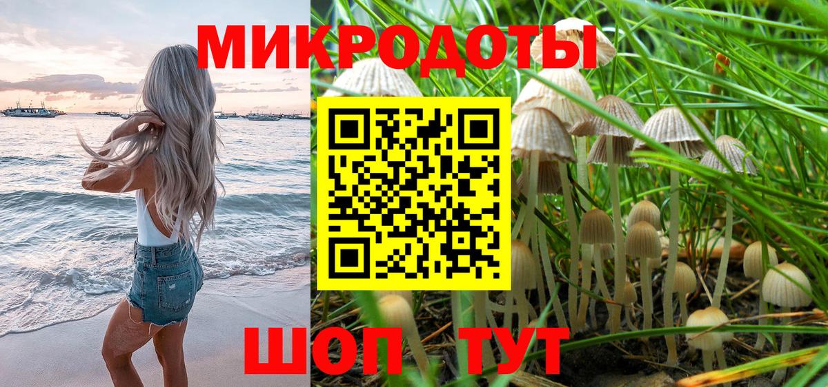 Черняховск  Галлюциногенные грибы Magic Shrooms  где купить наркоту  Вход с VPN 