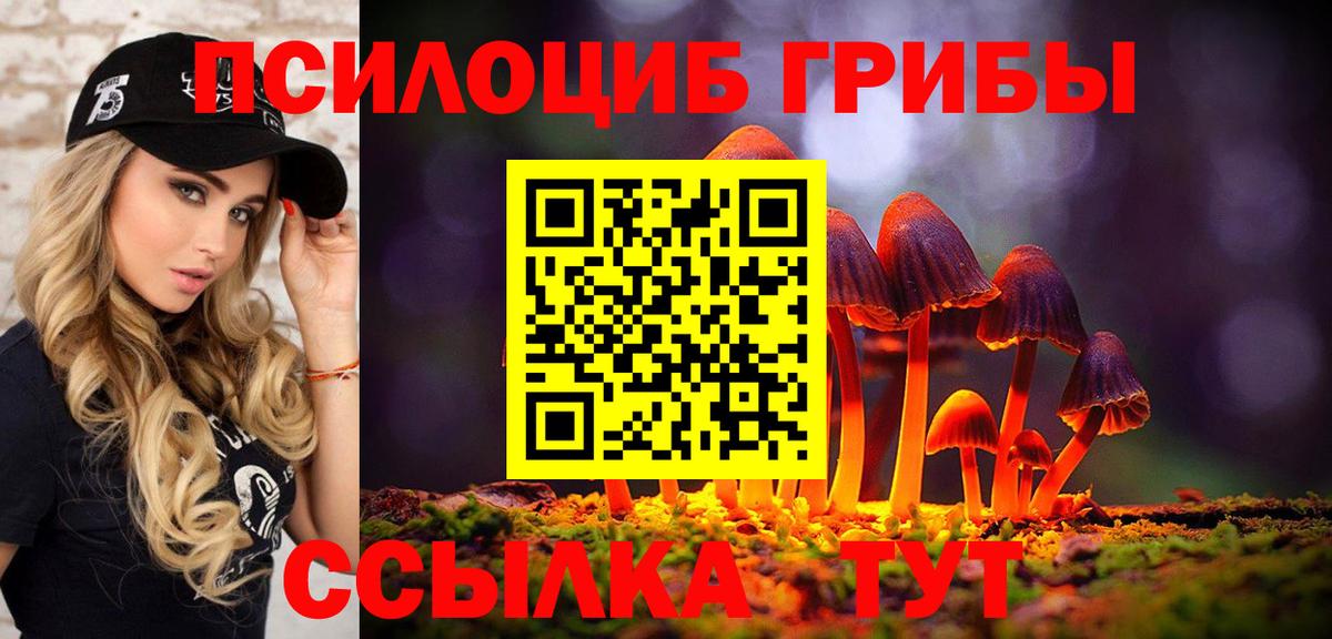 Галлюциногенные грибы MAGIC MUSHROOMS Черняховск